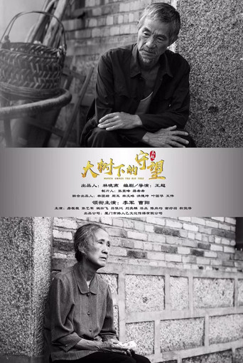 Watching Under The Big Trees poster