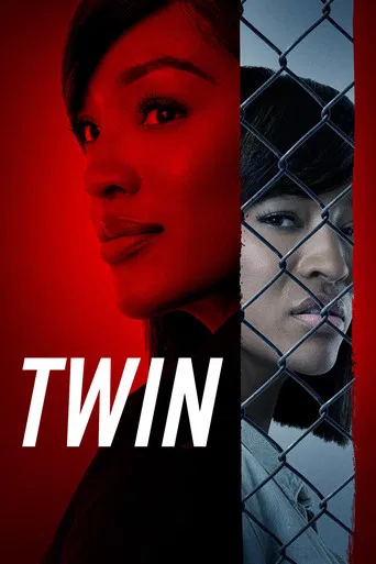 TWIN poster