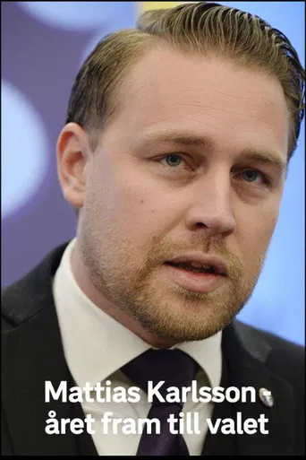 Mattias Karlsson: Året fram till valet poster