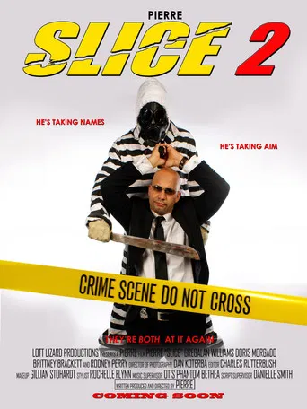 Slice 2 poster