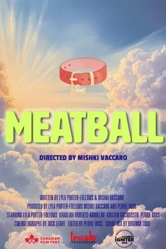 Meatball poster