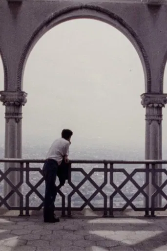 During the Many Years poster