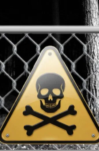 Influencer into the woods poster