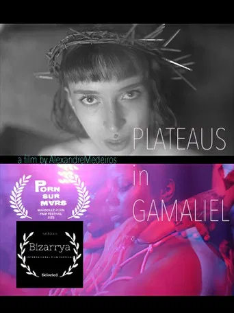Plateaus in Gamaliel poster