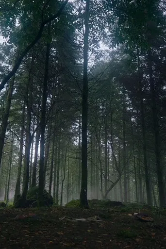 How to Grow a Walking Tree? poster