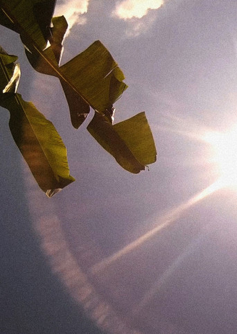 Amérika: Bahia de las Flechas poster