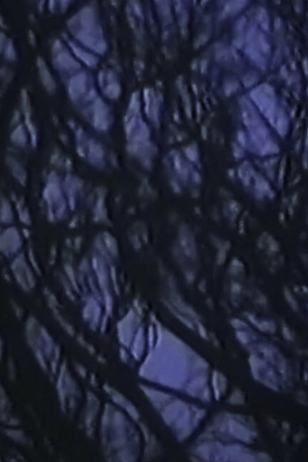 On the afternoon in LANGEL HANS Island poster