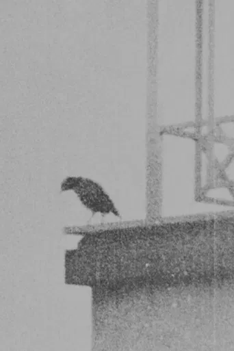 Ghazal no 884 By Bidel poster