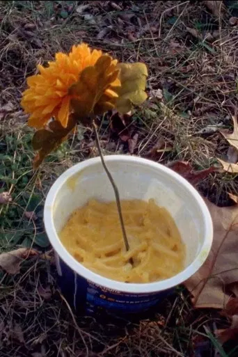 Macaroni Serenade poster