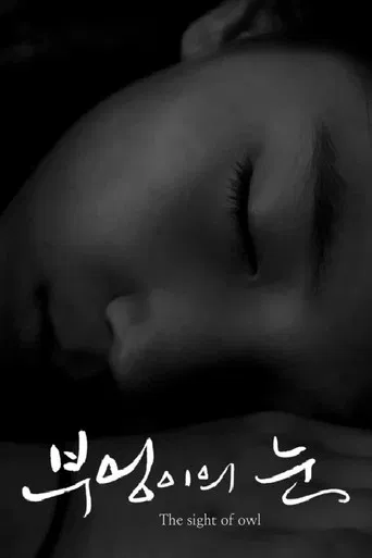 The Sight of Owl poster