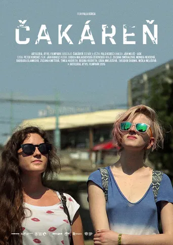 Čakáreň poster