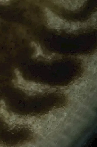 Creatures of the Lines poster