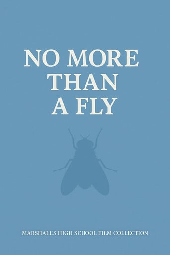 NO MORE THAN A FLY poster