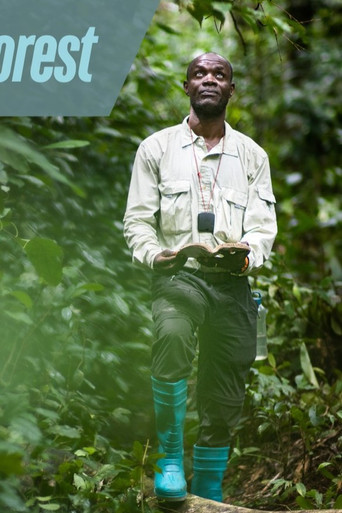 Eyes on the Forest poster