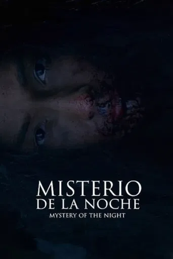 Mystery of the Night poster