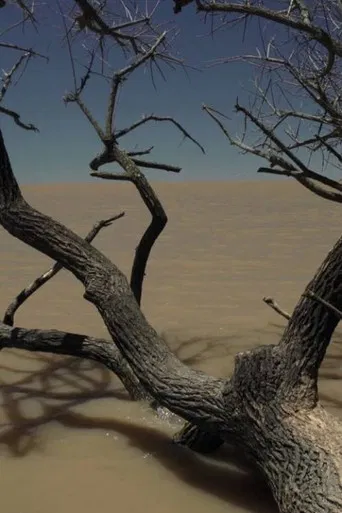 (...) The Same River poster