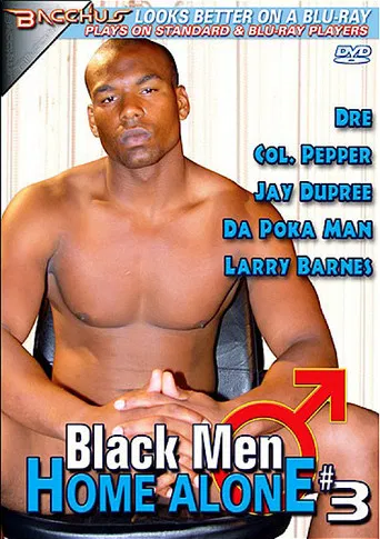 Black Men Home Alone 3 poster