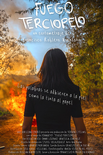 Fuego terciopelo poster