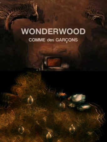Wonderwood: Comme des garçons poster