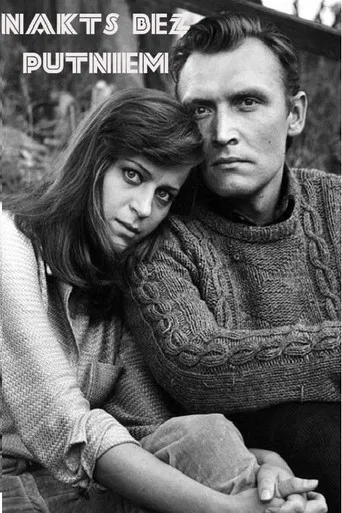 A Birdless Night poster