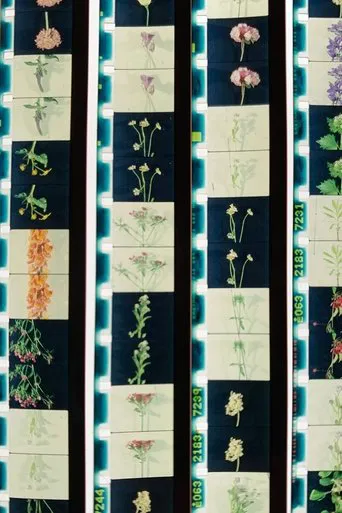 Lover, Lovers, Loving, Love poster