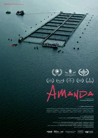 Amanda poster