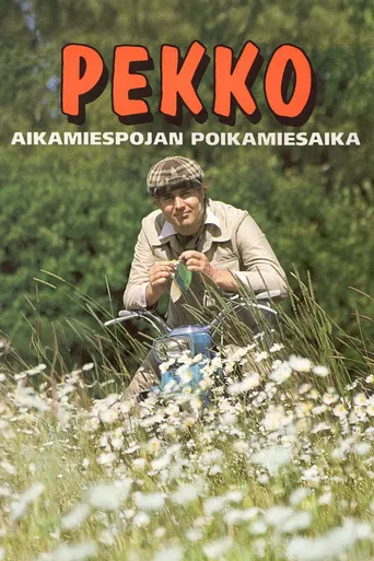 Pekko aikamiespojan poikamiesaika poster