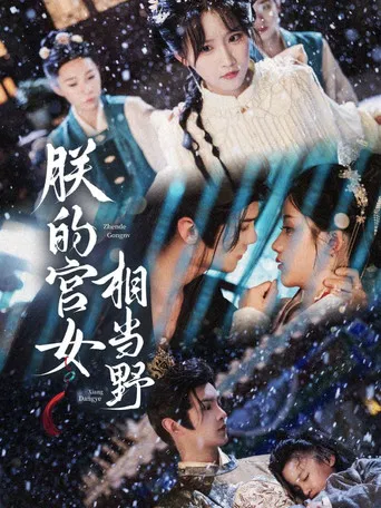 朕的宫女相当野 poster