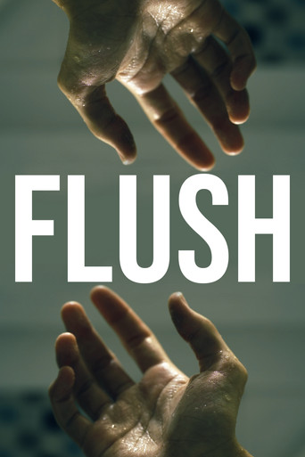 FLUSH poster