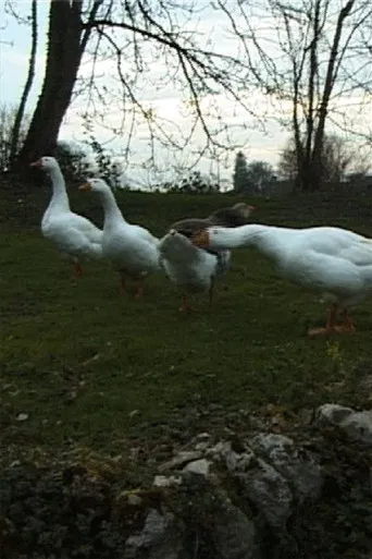 Le Jeu de l'oie du Professeur Poilibus poster