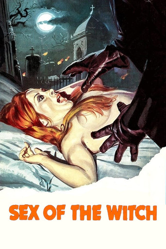 Sex of the Witch poster