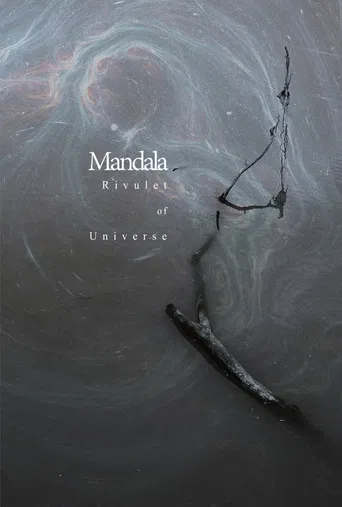 Rivulet of Universe poster