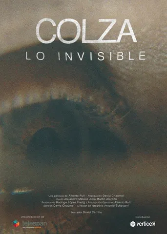 Colza, lo invisible poster