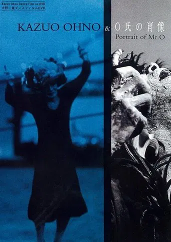 A Portrait of Mr O poster