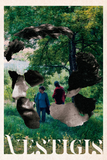 Vestigis poster