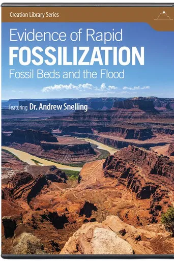 Evidence of Rapid Fossilization poster