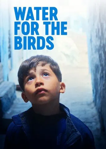 Water For The Birds poster