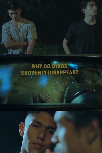 Why Do Birds Suddenly Disappear? poster