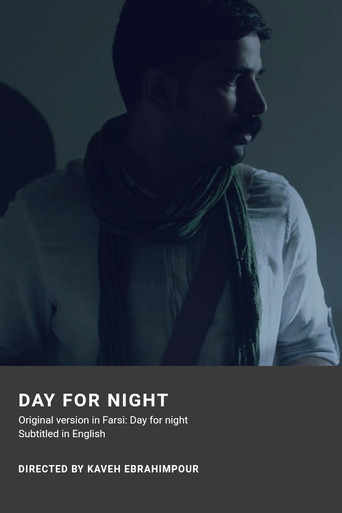 Day for night poster