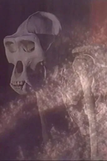 Esprits de Sel poster