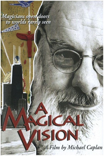 A Magical Vision poster