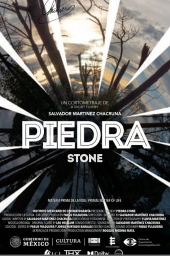 Piedra poster