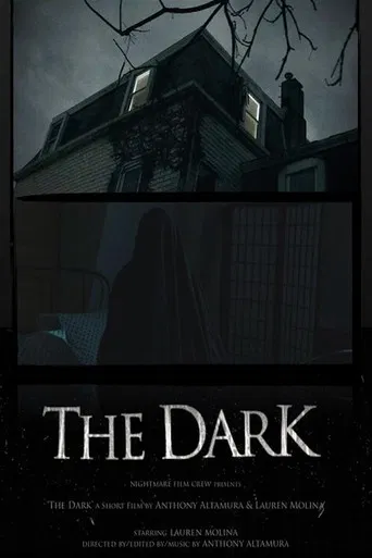 The Dark poster