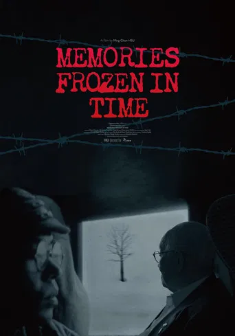 Memories Frozen in Time poster