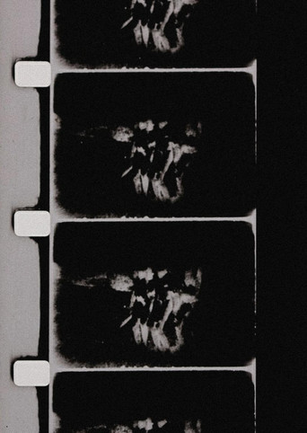 Studies in Image (de) Generation poster