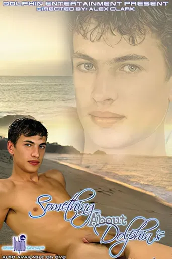 Something About Dolphin's poster