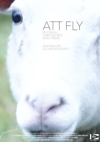 Att fly poster