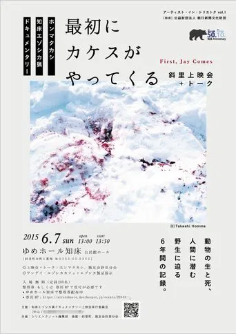 First, Jay Comes poster