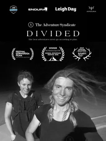 Divided poster