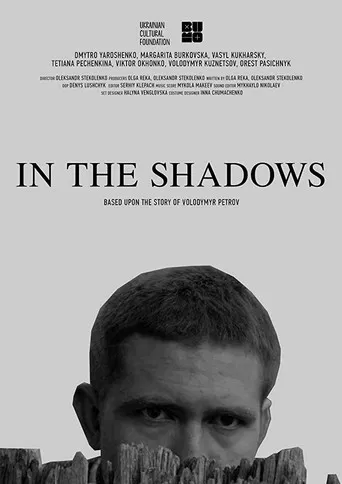 In the Shadows poster